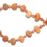 Rudraksha Siddha Mala - Nepal