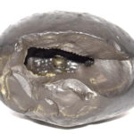 Rare Big Size Varaha Shaligram