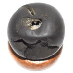 Vijaya Krishna Shaligram