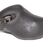 Kurma Shaligram