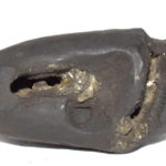 Kamsa Mardana Shaligram