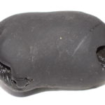 Varaha Shaligram