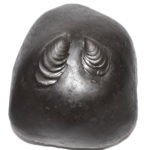 Rare Big Size MahaVishnu Aniruddha Shaligram