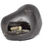 Varaha Shaligram