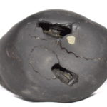 Rare Big Size SitaRama Shaligram