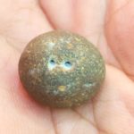 ShriVatsalAnchana Shaligram