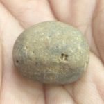 RajaRajeshwara Shaligram