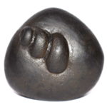 Gadadhara Shaligram