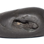 Soubhagya Varada Krishna Shaligram