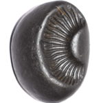 ParshuRam Shaligram