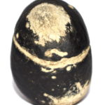 Radha Krishna Shaligram