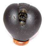 Bhur Bhavas Gayatri Shaligram