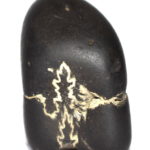 Radha Krishna Shaligram