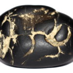 Aum Shaligram
