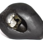 MahaGauri Navdurga Shaligram