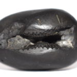 Soubhagya Varada Krishna Shaligram