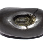 Hara Narsimha Shaligram