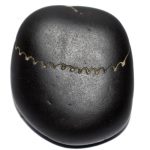 Laxmi Vanamala Shaligram