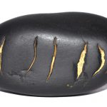 Saptrishi Shaligram