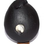 Giri Govardhan Shaligram
