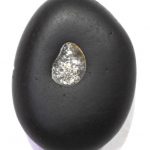 Gadadhara Pandita Shaligram