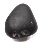 Matsya Shaligram