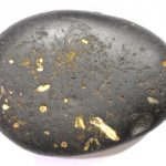 Dwarkadheesh Shaligram
