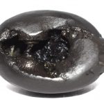Kamal Laxmi Kalpavriksha Chakradhari Mahavishnu Shaligram