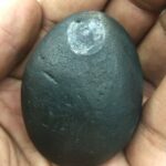 Govinda Shaligram