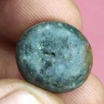 Vaman Shaligram