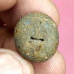 Vaman Shaligram