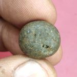 Vaman Shaligram