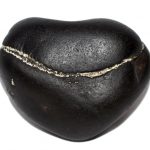Adwaitya Shweta Hrishikesha Jagannath MahaVishnu Shaligram