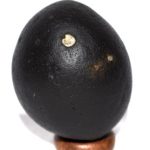 Sarvottam Krishna Balram Pradyumna Aniruddha Govind Narayan Shaligram
