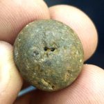 Vaman Shaligram