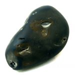 Varaha Shaligram