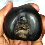 Blue NeelKantha Maha Mrityunjaya Golden Bhur Bhavas Gayatri Vaikuntha Shaligram