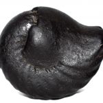 Sarvottam Kamdhenu Laxmi Kuber Shaligram