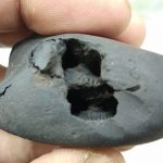 Laxmi Narayan Shaligram