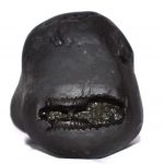 Kurma Shaligram