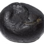 Adwaitya Laxmi Vanamala Maha Kuber Shaligram