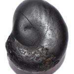 Adwaitya Right Side Vishnu Lakshmi Kalpvriksha Shankh Shaligram