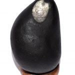 Sarvottam Shweta Govind Narayan Garuda Shaligram