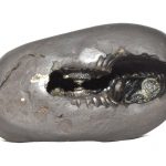 KoDanda Rama Shaligram