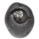 Vaikuntha Shaligram