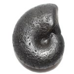 Sarvottam Laxmi Ganesha Kalpvriksha Shaligram