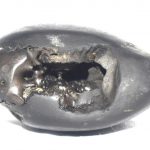 Madana Gopala Shaligram