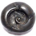 Vaikuntha Shaligram