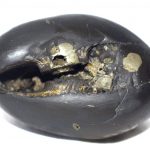Gadakara Krishna Shaligram