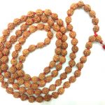 4 Mukhi Chikna Rudraksha Mala - 108+1 Beads